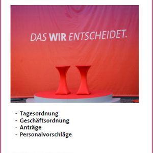 Antragsbuch zum Bezirksparteitag 2013